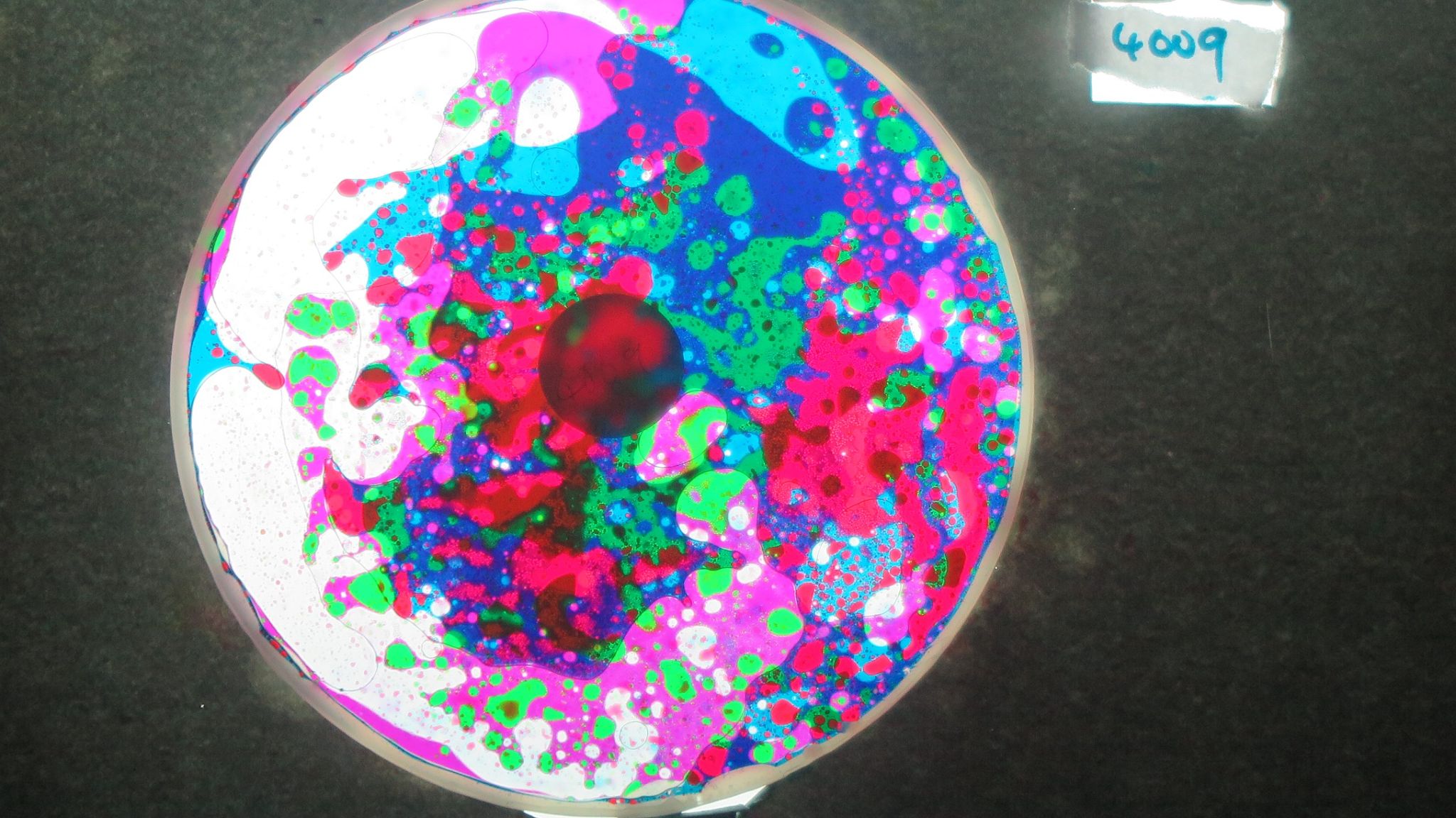 BV4009 bubble vision oil wheel